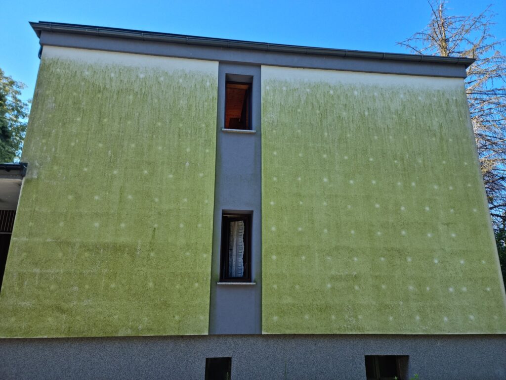 Czyszczenie elewacji